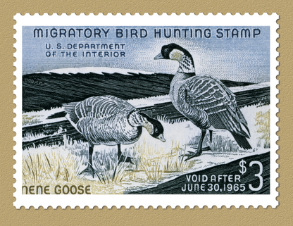 Triumph Calendars Duck Stamps Calendar-1809