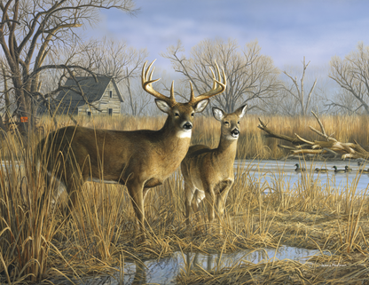 Triumph Calendars Wildlife Art by the Hautman Brothers Calendar-1811