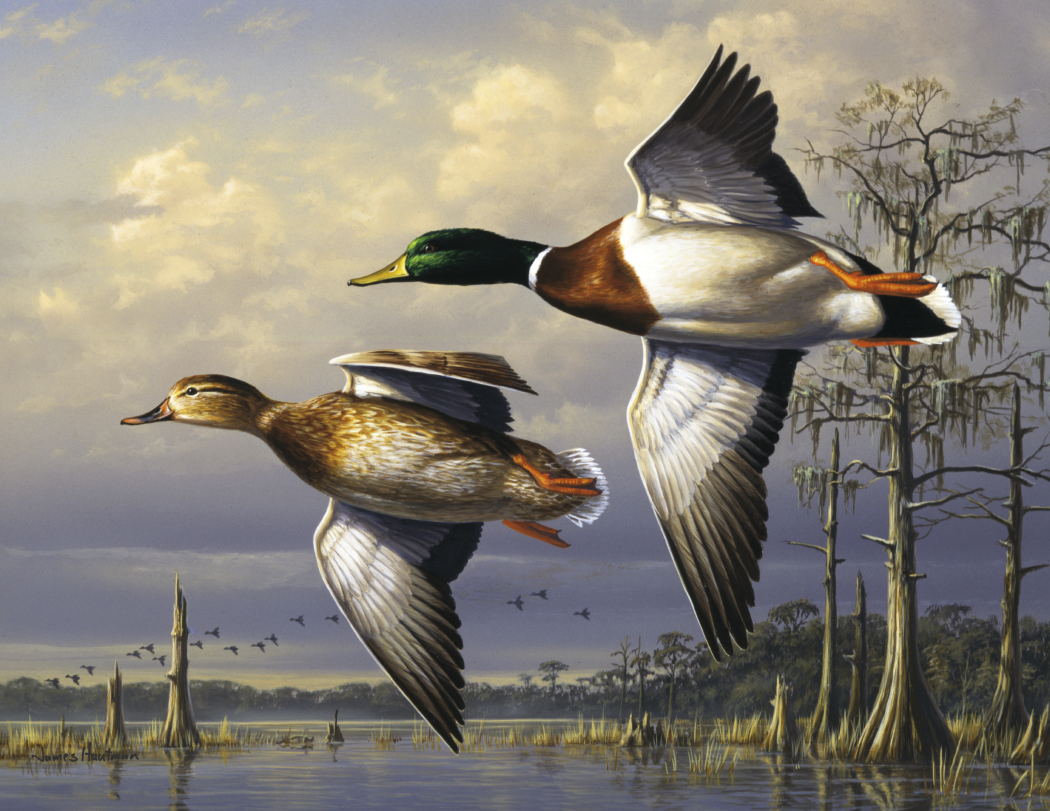 Triumph Calendars Wildlife Art by the Hautman Brothers Calendar-1811