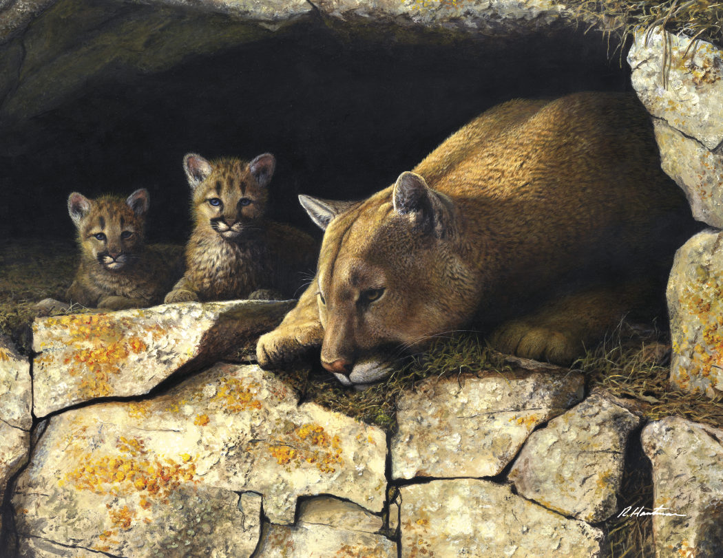 Triumph Calendars Wildlife Art by the Hautman Brothers Calendar-1811