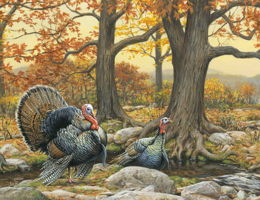 Triumph Calendars Wildlife Art by the Hautman Brothers Calendar-1811