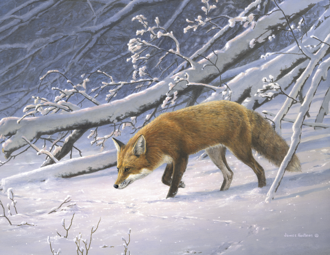 Triumph Calendars Wildlife Art by the Hautman Brothers Calendar-1811