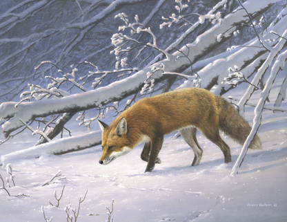 Triumph Calendars Wildlife Art by the Hautman Brothers Calendar-1811