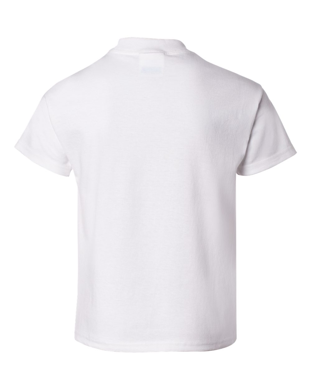 Image for 20947_b_fl.jpg