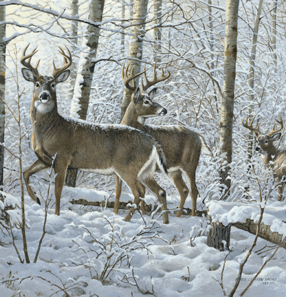 Triumph Calendars Wildlife Art Calendar-2104