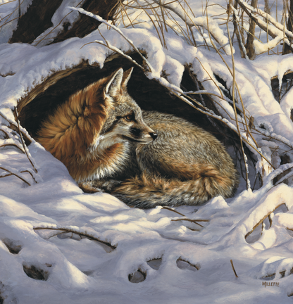 Triumph Calendars Wildlife Art Calendar-2104