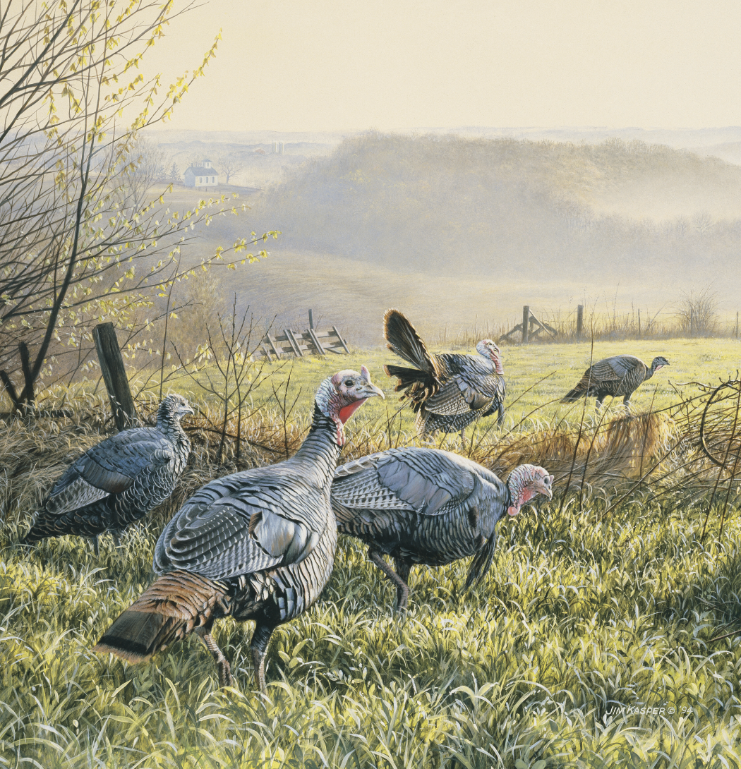 Triumph Calendars Wildlife Art Calendar-2104