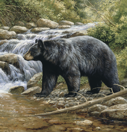 Triumph Calendars Wildlife Art Calendar-2104