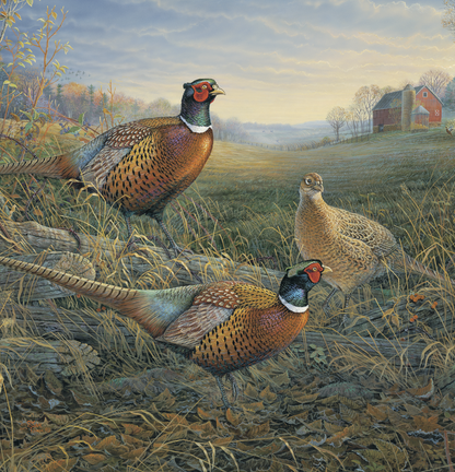 Triumph Calendars Wildlife Art Calendar-2104