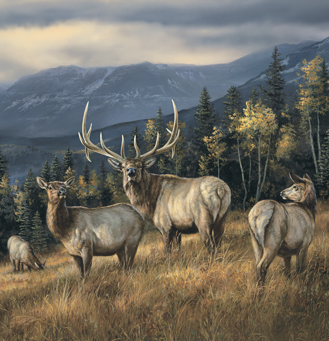 Triumph Calendars Wildlife Art Calendar-2104