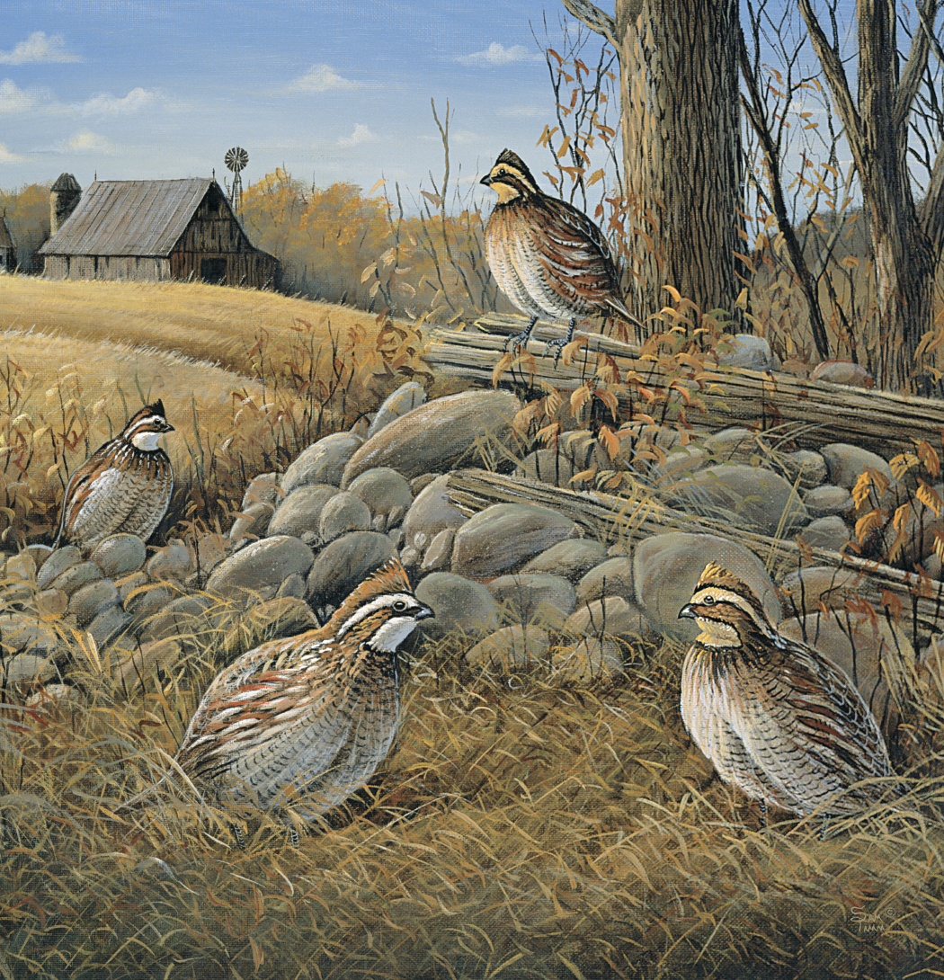 Triumph Calendars Wildlife Art Calendar-2104