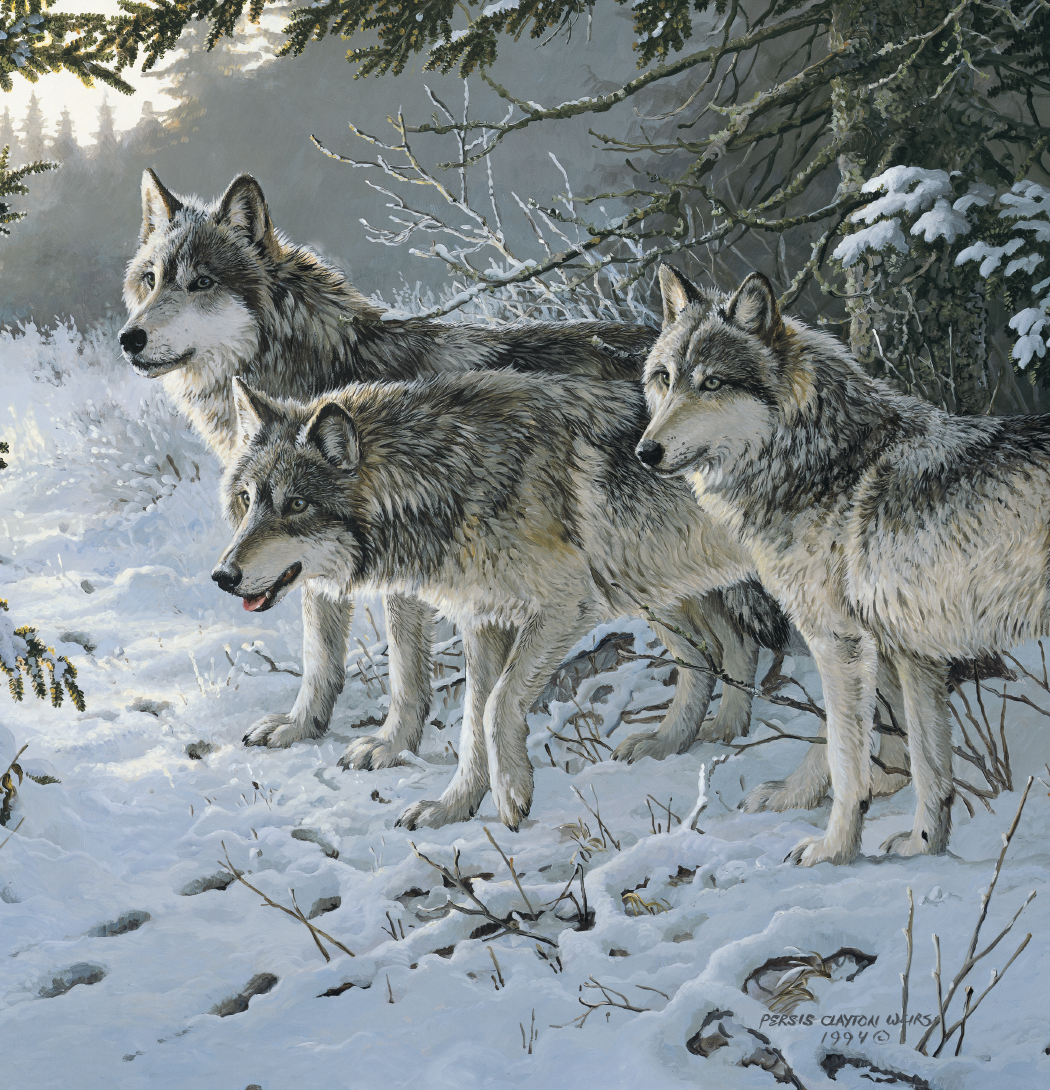 Triumph Calendars Wildlife Art Calendar-2104