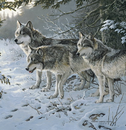 Triumph Calendars Wildlife Art Calendar-2104