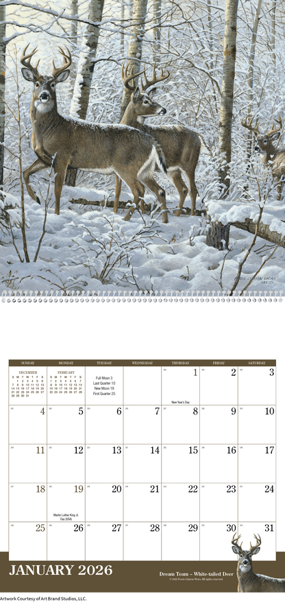 Triumph Calendars Wildlife Art Calendar-2104