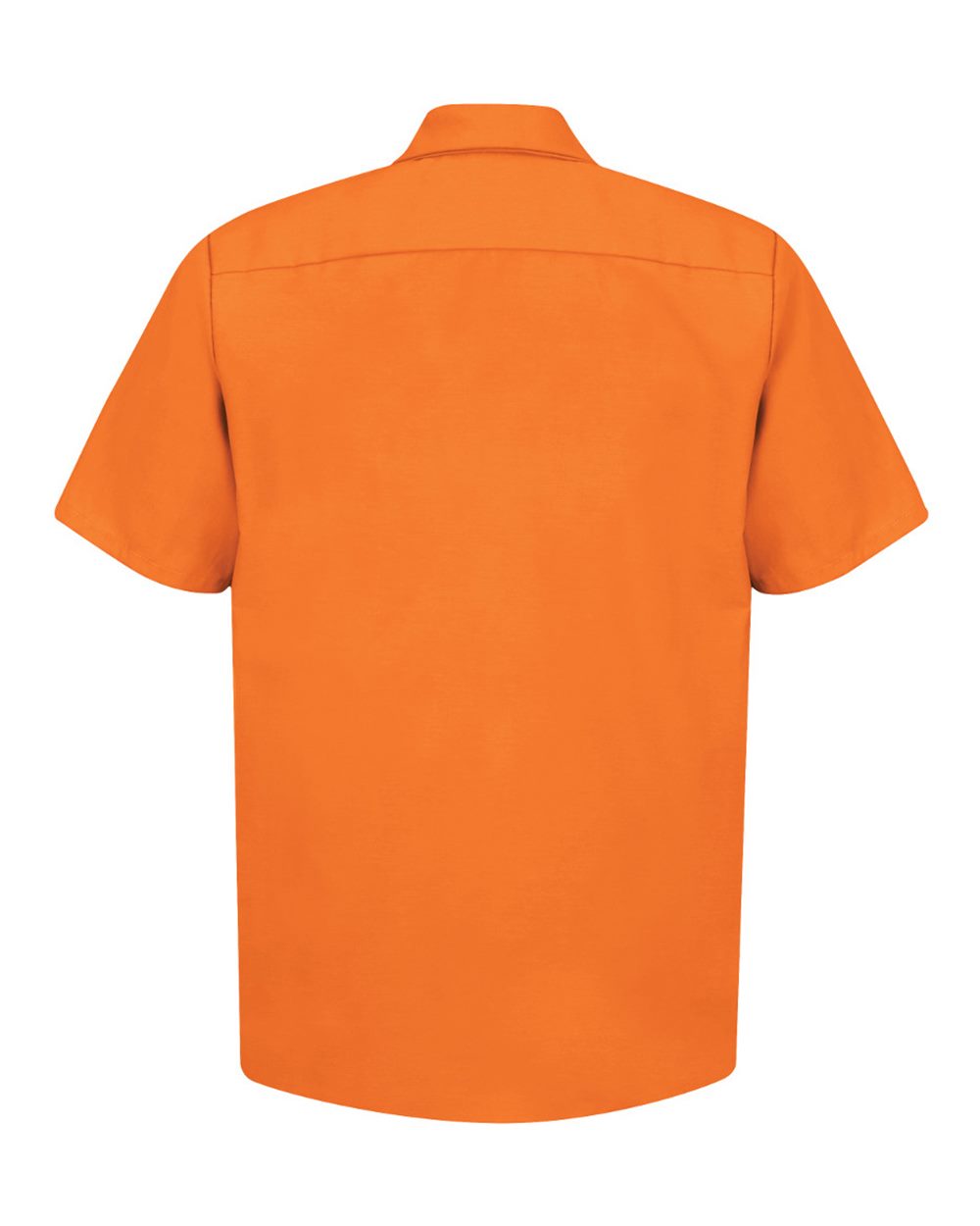 Image for 22083_b_fl.jpg
