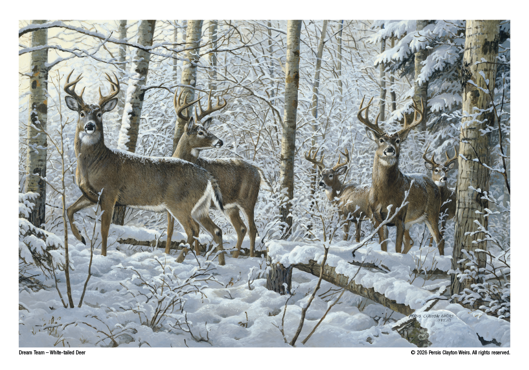 Triumph Calendars Wildlife Art Calendar-2301