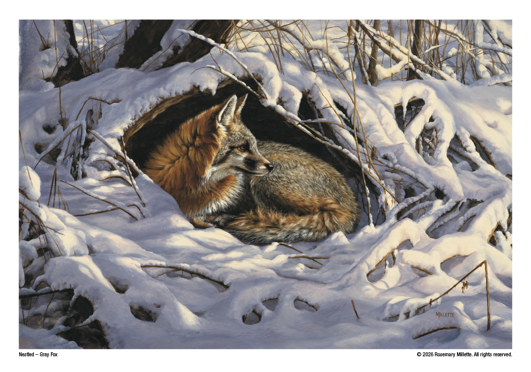 Triumph Calendars Wildlife Art Calendar-2301