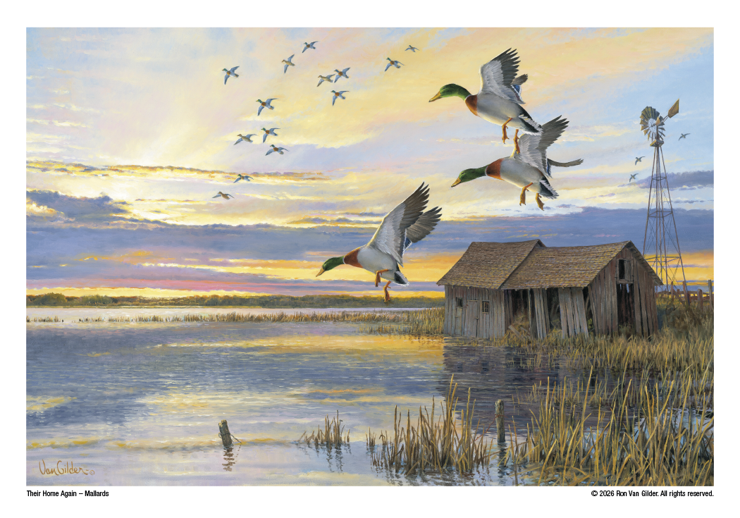 Triumph Calendars Wildlife Art Calendar-2301