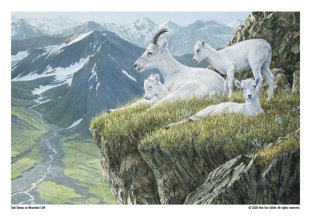 Triumph Calendars Wildlife Art Calendar-2301