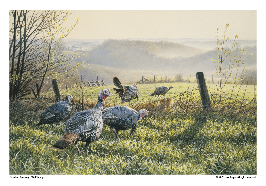 Triumph Calendars Wildlife Art Calendar-2301