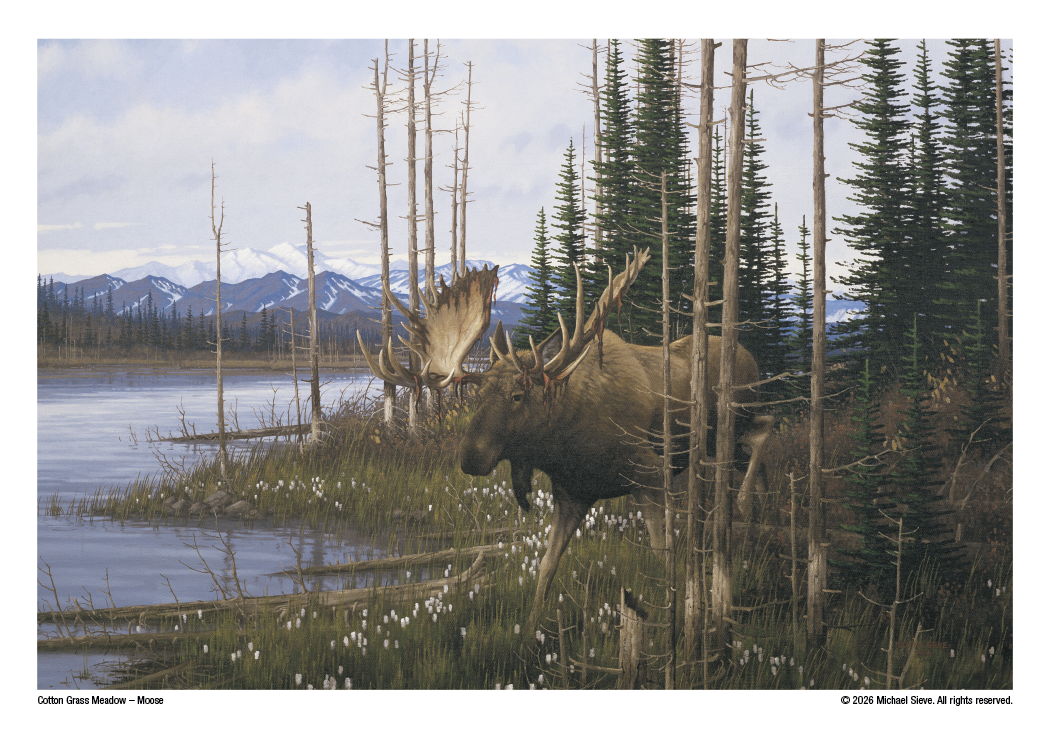Triumph Calendars Wildlife Art Calendar-2301