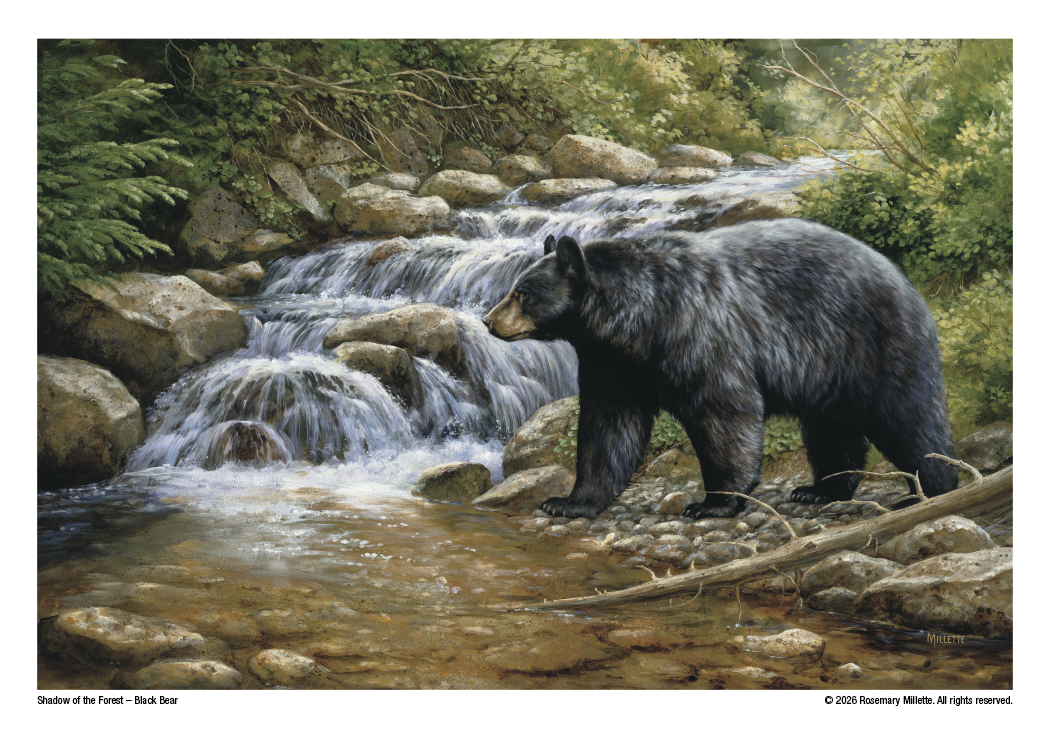 Triumph Calendars Wildlife Art Calendar-2301
