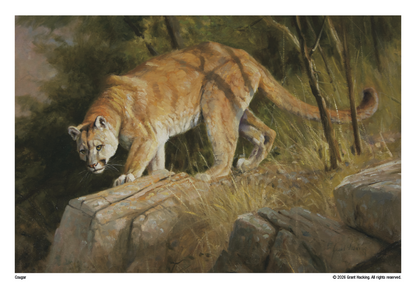 Triumph Calendars Wildlife Art Calendar-2301