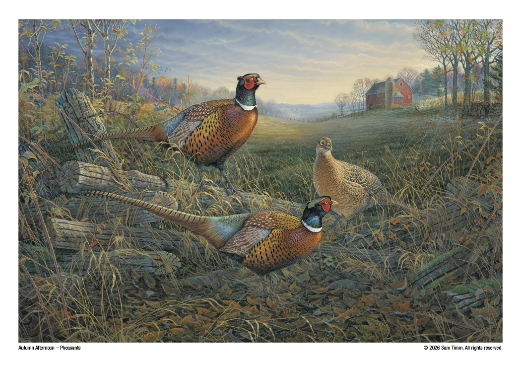 Triumph Calendars Wildlife Art Calendar-2301