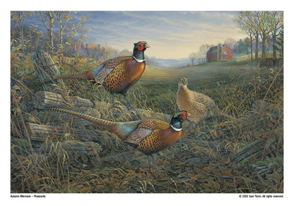 Triumph Calendars Wildlife Art Calendar-2301