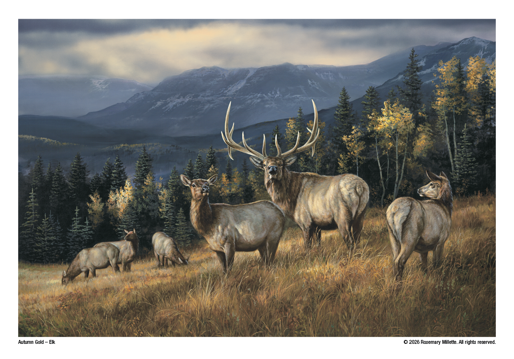 Triumph Calendars Wildlife Art Calendar-2301