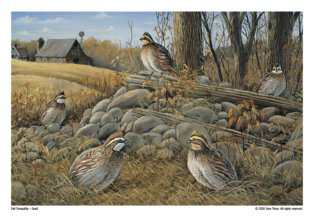 Triumph Calendars Wildlife Art Calendar-2301