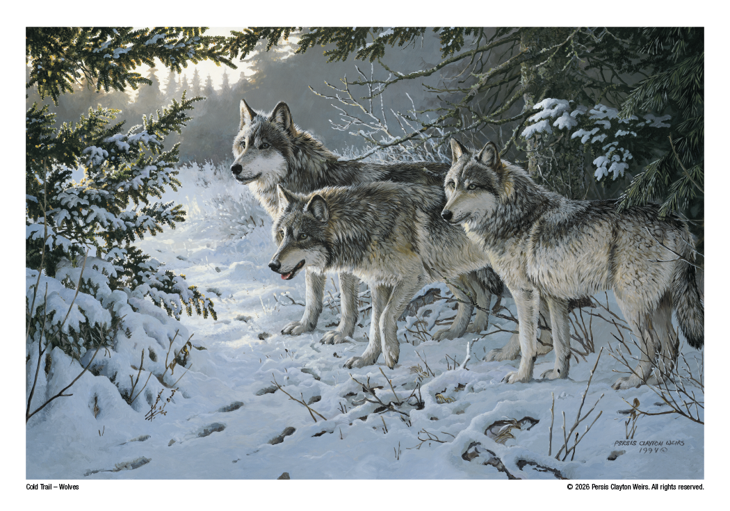 Triumph Calendars Wildlife Art Calendar-2301