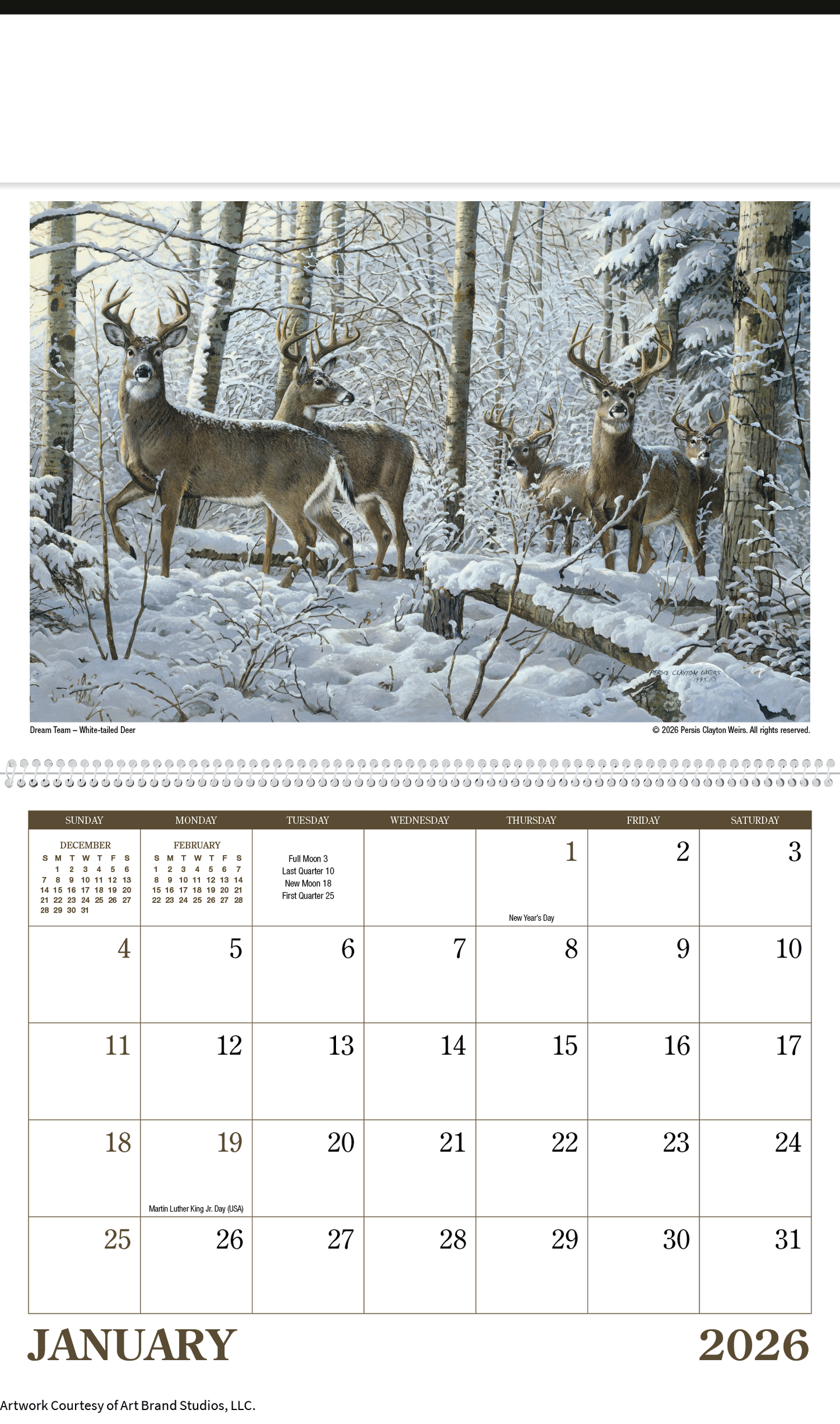 Triumph Calendars Wildlife Art Calendar-2301