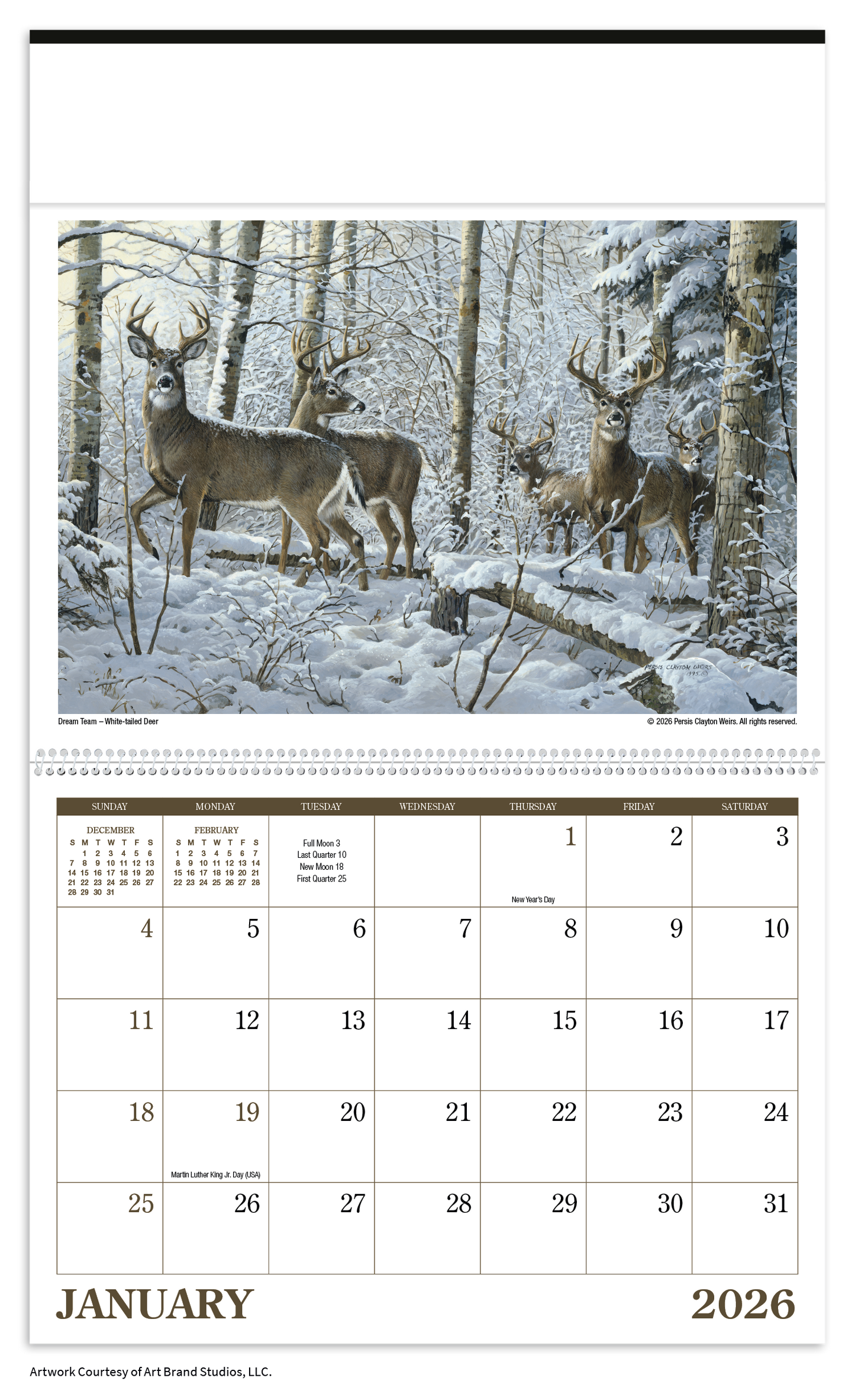 Triumph Calendars Wildlife Art Calendar-2301