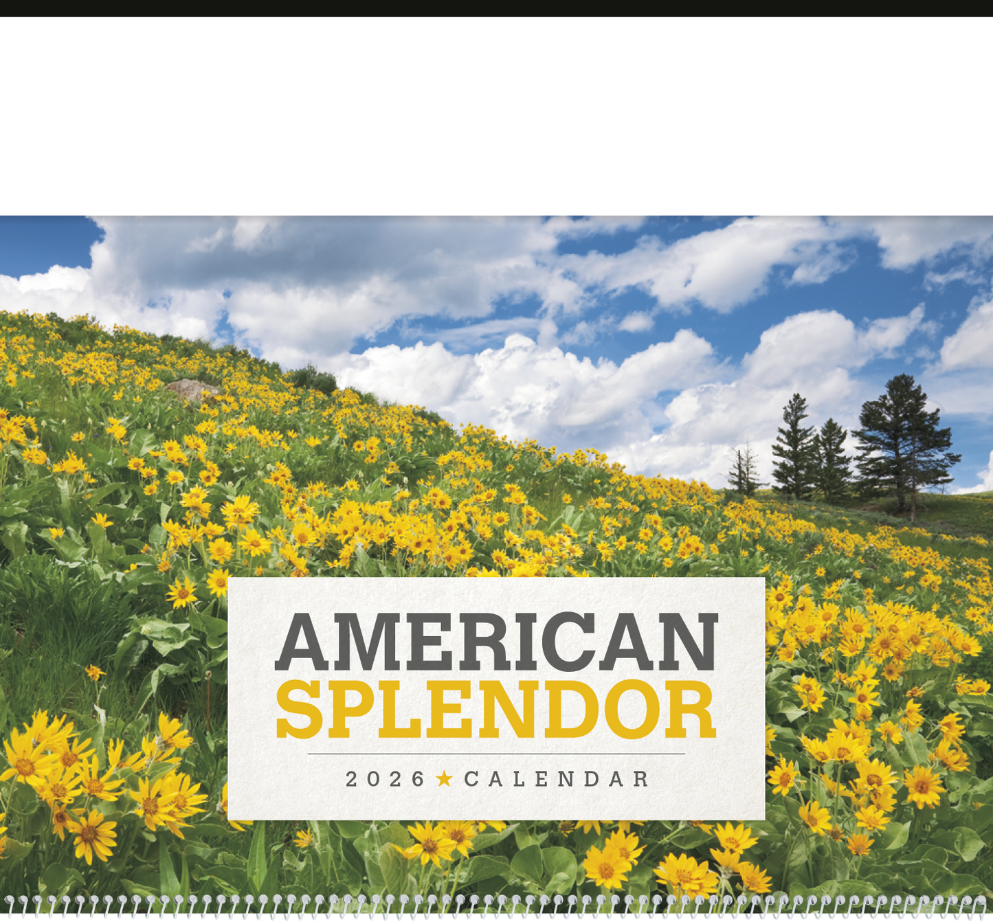 Triumph Calendars American Splendor Calendar-2302