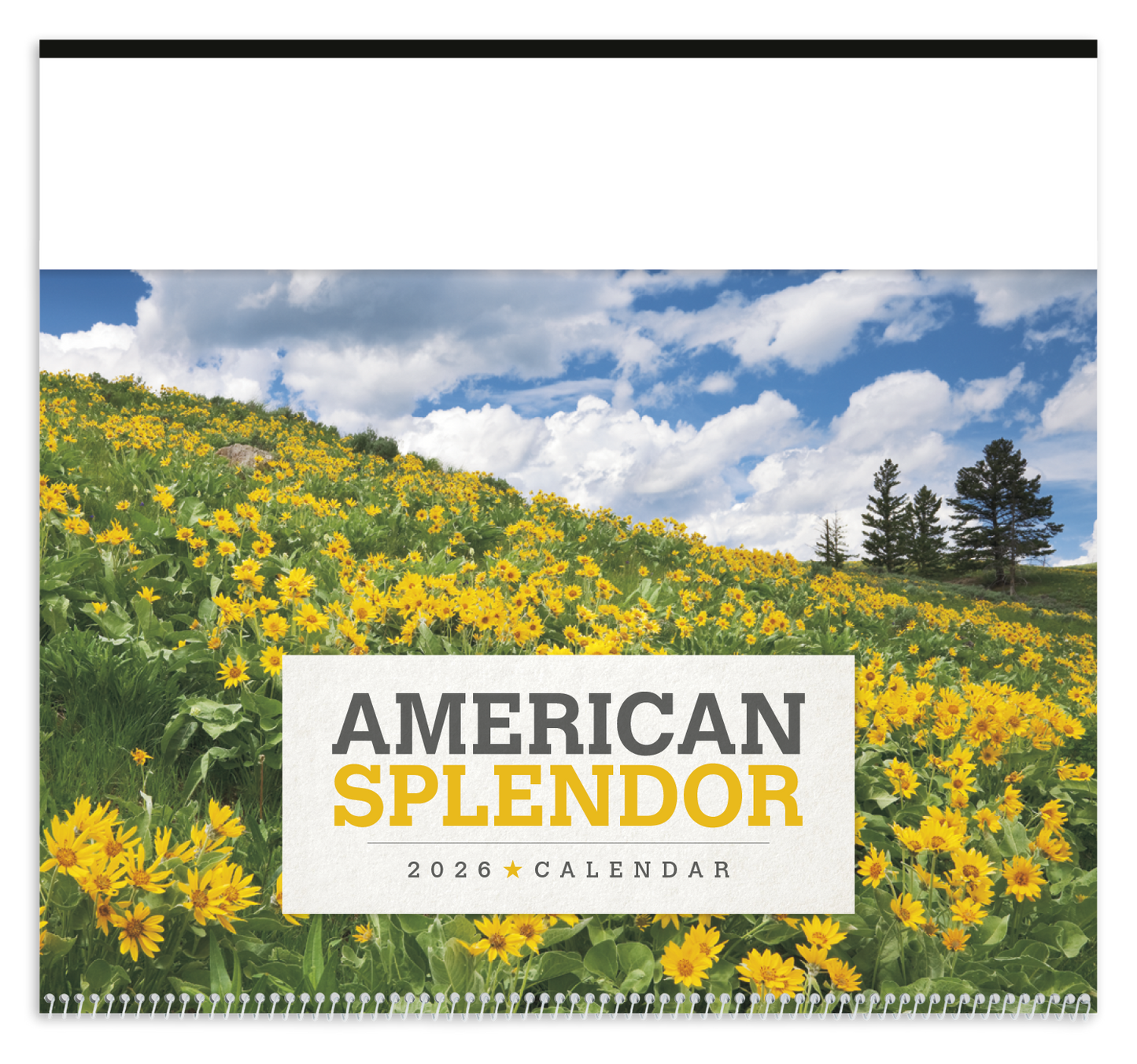 Triumph Calendars American Splendor Calendar-2302