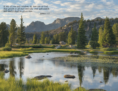 Triumph Calendars Bible Passages Calendar-2503