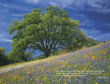 Triumph Calendars Catholic Scenic Calendar-2504