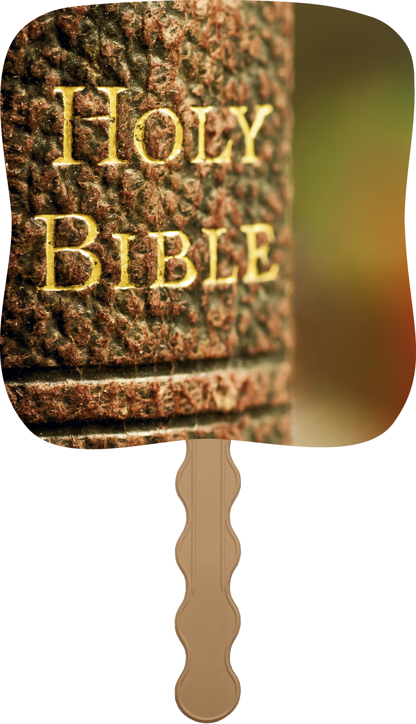 Skinner  Kennedy Holy Bible  Pictorial Fan-2640