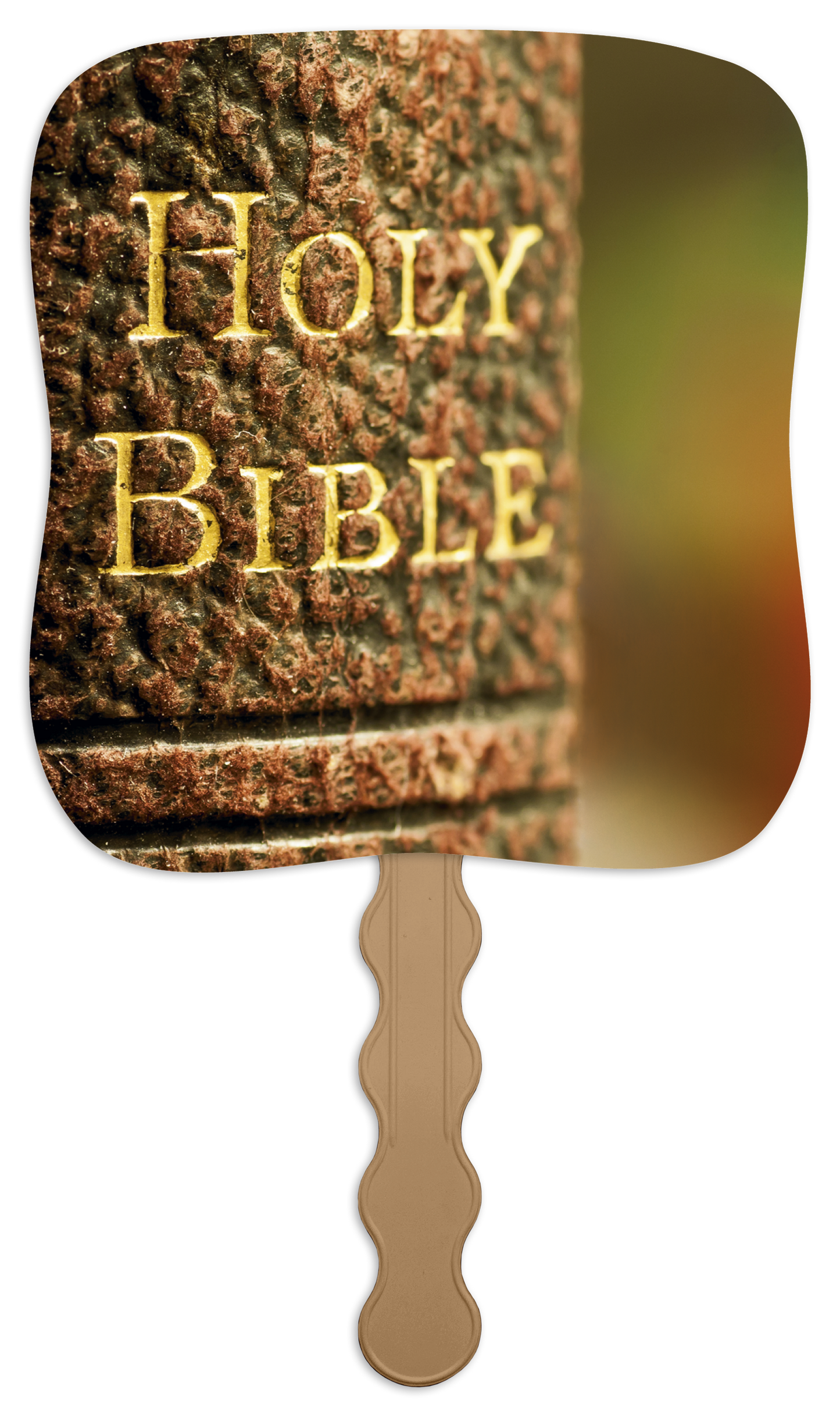 Skinner  Kennedy Holy Bible  Pictorial Fan-2640
