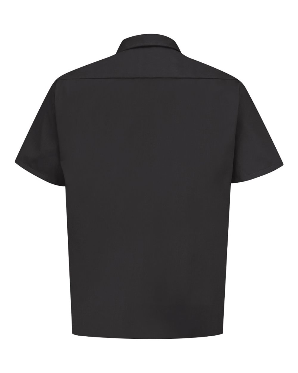 Image for 26917_b_fl.jpg