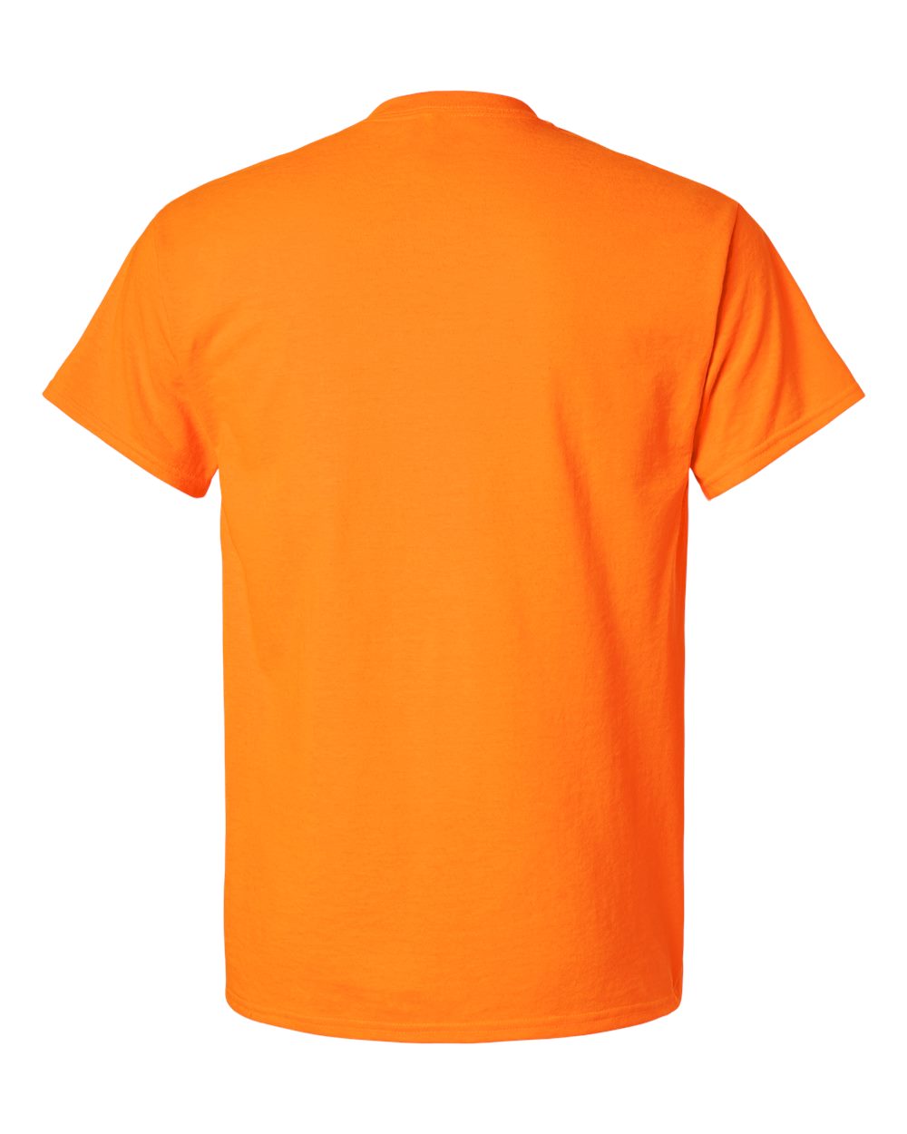 Image for 30011_b_fl.jpg
