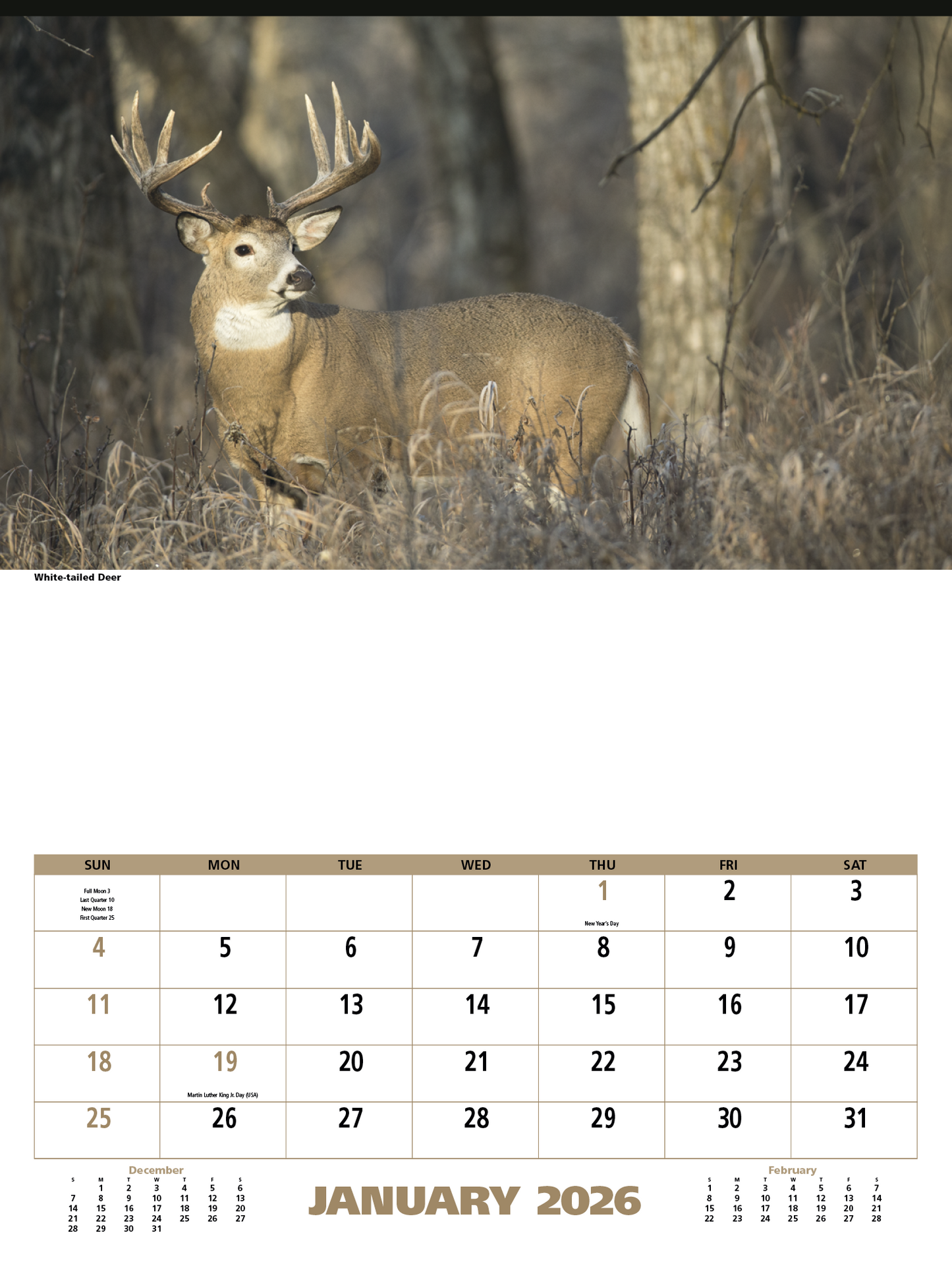 Triumph Calendars North American Wildlife Calendar-3107