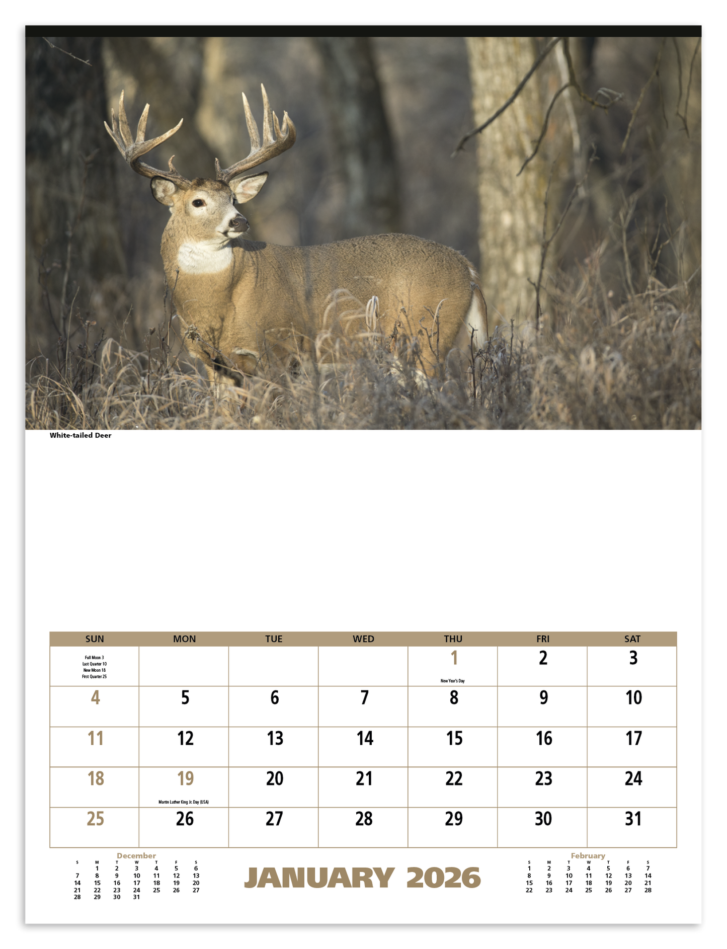 Triumph Calendars North American Wildlife Calendar-3107