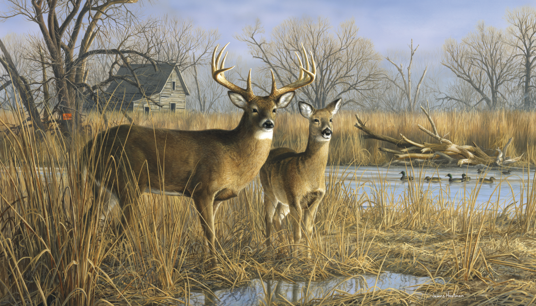 Triumph Calendars Wildlife Art by the Hautman Brothers Calendar-3111