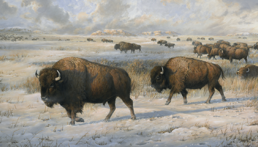 Triumph Calendars Wildlife Art by the Hautman Brothers Calendar-3111