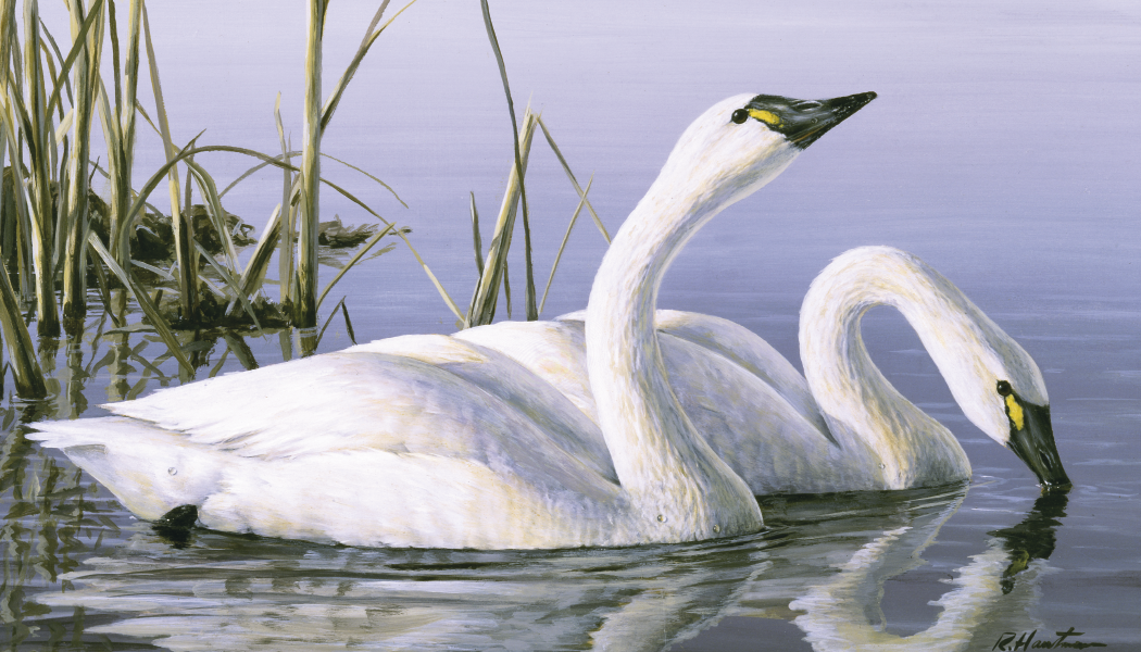 Triumph Calendars Wildlife Art by the Hautman Brothers Calendar-3111
