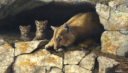 Triumph Calendars Wildlife Art by the Hautman Brothers Calendar-3111