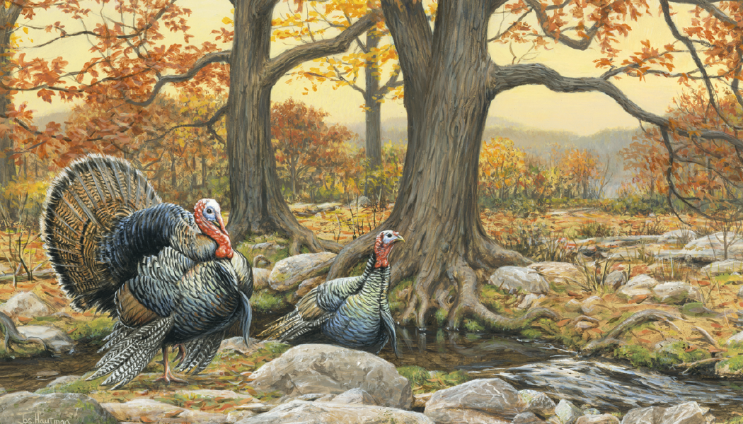 Triumph Calendars Wildlife Art by the Hautman Brothers Calendar-3111