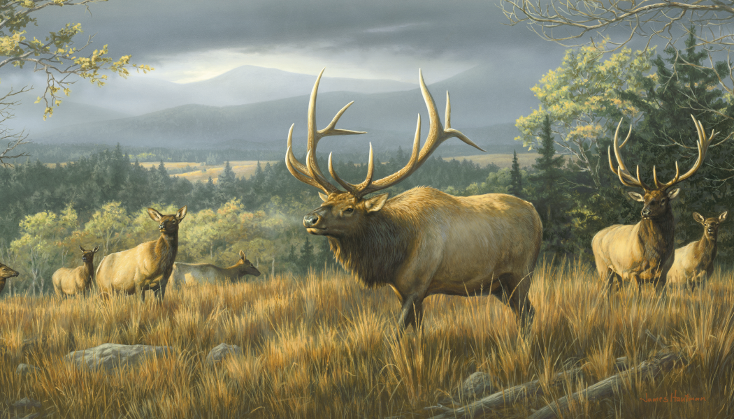 Triumph Calendars Wildlife Art by the Hautman Brothers Calendar-3111